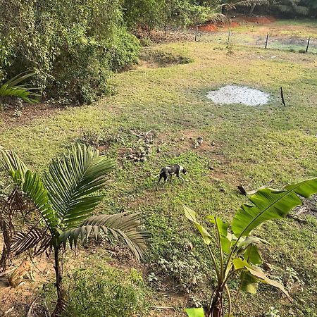 Hostelexp, Gokarna - A Slow-Paced Backpackers Community ภายนอก รูปภาพ