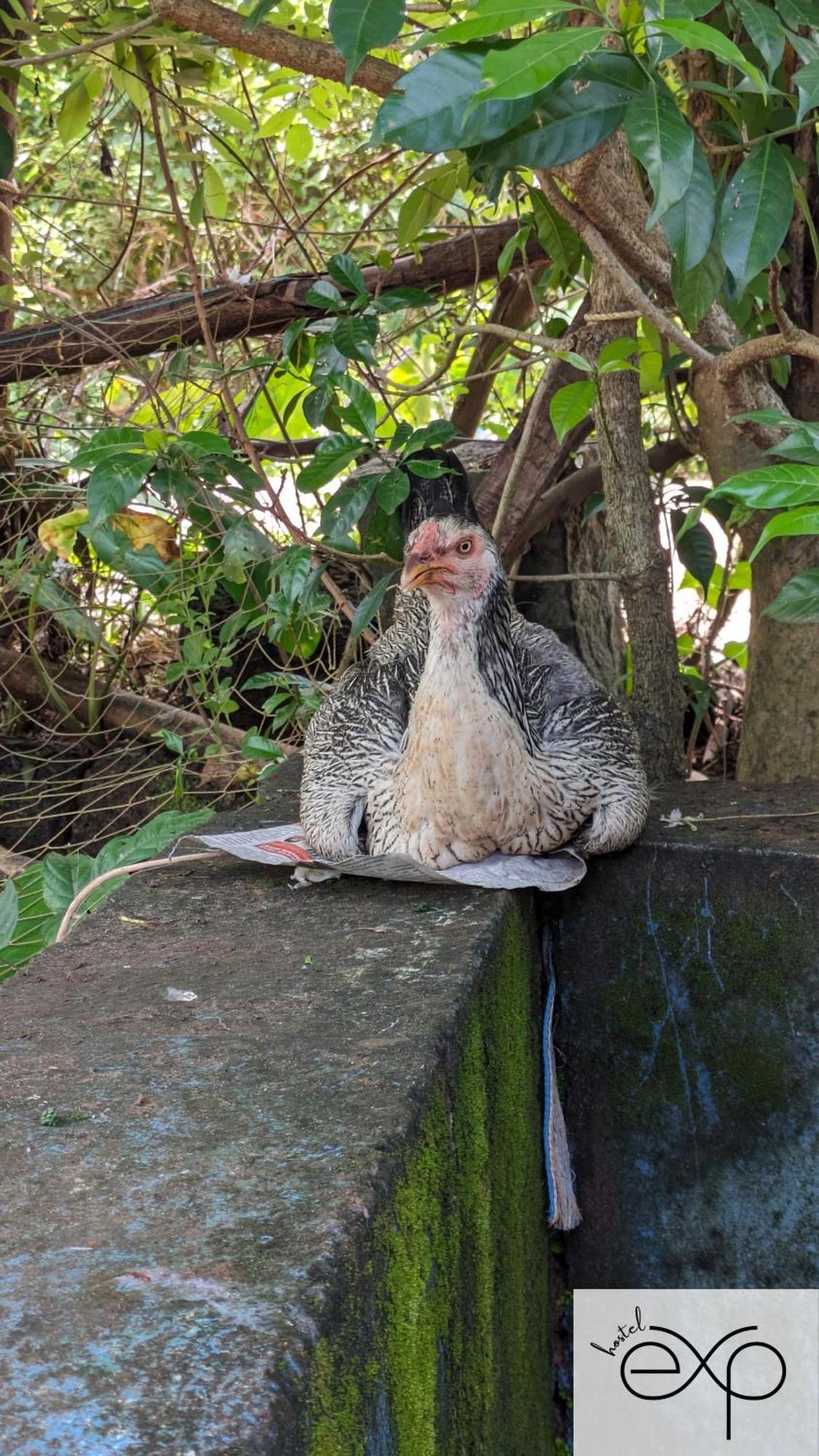 Hostelexp, Gokarna - A Slow-Paced Backpackers Community ภายนอก รูปภาพ