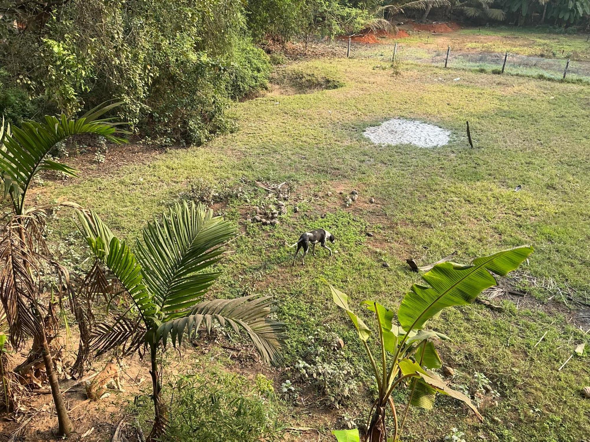 Hostelexp, Gokarna - A Slow-Paced Backpackers Community ภายนอก รูปภาพ